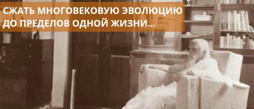 СИНТЕЗ ЙОГИ — 7.